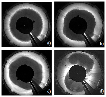 Frontal instabilities